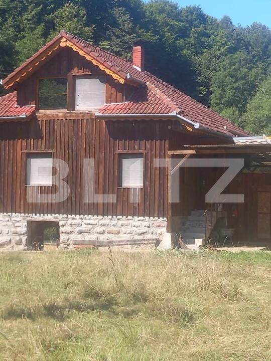 Casa de vânzare 4 camere Geoagiu - 197497CV | BLITZ Deva | Poza7