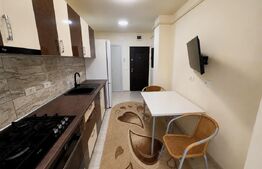 Apartament 2 camere, parter, central, izolat exterior