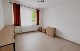 Apartament 2 camere, parter, central, izolat exterior