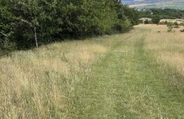 Teren extravilan de vanzare, 16607 mp, lângă Geoagiu Băi