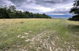 Teren extravilan de vanzare, 16607 mp, lângă Geoagiu Băi