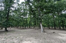 Teren extravilan de vanzare, 16607 mp, lângă Geoagiu Băi