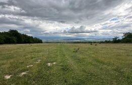 Teren extravilan de vanzare, 16607 mp, lângă Geoagiu Băi
