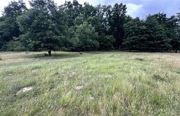 Teren extravilan de vanzare, 16607 mp, lângă Geoagiu Băi