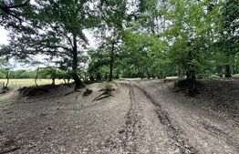 Teren extravilan de vanzare, 16607 mp, lângă Geoagiu Băi