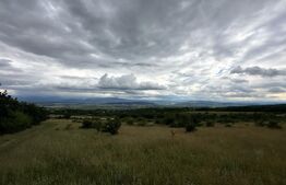 Teren extravilan de vanzare, 16607 mp, lângă Geoagiu Băi