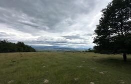 Teren extravilan 16607 mp lângă Geoagiu Băi oportunitate excelentă de investitie