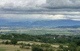 Teren extravilan de vanzare, 16607 mp, lângă Geoagiu Băi
