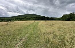 Teren extravilan de vanzare, 16607 mp, lângă Geoagiu Băi