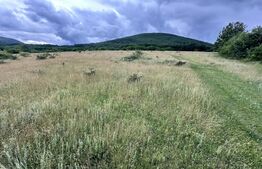 Teren extravilan de vanzare, 16607 mp, lângă Geoagiu Băi