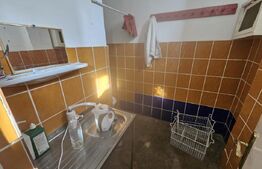 Spațiu comercial 50 mp, parter, cu vitrină și 2 intrări – Micro 6, Hunedoara
