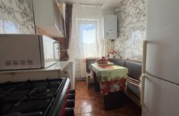 Apartament cu 2 camere, semidecomandat, climă, acoperiș nou, Minerului