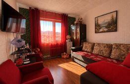 Apartament cu 2 camere, semidecomandat, climă, acoperiș nou, Minerului