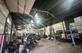 Parc industrial complet echipat – Hală multifuncțională cu acces TIR, elevatoare
