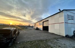 Parc industrial complet echipat – Hală multifuncțională cu acces TIR, elevatoare