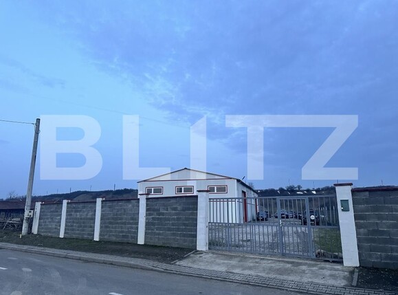 Spațiu industrial de vânzare Orastie - 198374SVI | BLITZ Deva | Poza17
