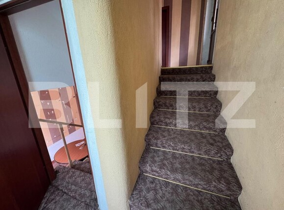 Casa de închiriat 12 camere Dorobanti - 199751CI | BLITZ Deva | Poza10