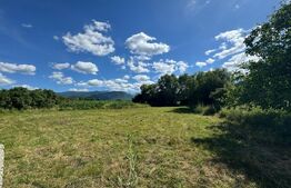 Teren intravilan de vânzare – 2.281 mp | Sibișel-Râu de Mori | View deosebit