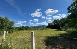 Teren intravilan de vânzare – 2.281 mp | Sibișel-Râu de Mori | View deosebit