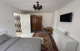 Apartament de vanzare, cu 1 cameră, decomandat, 40 mp, la 2 minute de Pietonala