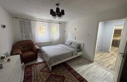 Apartament de vanzare, cu 1 cameră, decomandat, 40 mp, la 2 minute de Pietonala