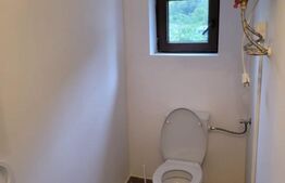 Casa de vanzare, 135 mp si 5 hectare de teren, langa Deva 