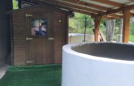Casa de vanzare, 135 mp si 5 hectare de teren, langa Deva 