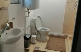 Casa de vanzare, 135 mp si 5 hectare de teren, langa Deva 