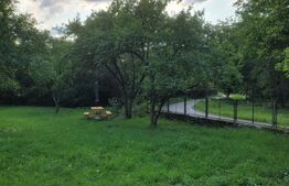 Casa de vanzare, 135 mp si 5 hectare de teren, langa Deva 