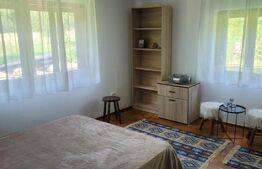 Casa de vanzare, 135 mp si 5 hectare de teren, langa Deva 