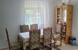 Casa de vanzare, 135 mp si 5 hectare de teren, langa Deva 