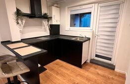 Apartament cu 2 camere - zona Centrul Vechi