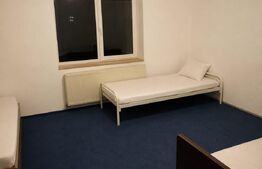 Casă cu 3 apartamente+garaje - 372 mp și teren liber, 1.413 mp în Deva 