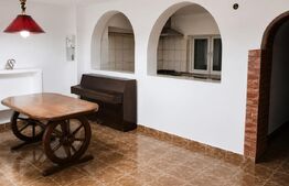 Casă cu 3 apartamente+garaje - 372 mp și teren liber, 1.413 mp în Deva 