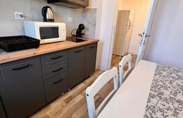 Chirie apartament 2 camere ultracentral - renovat si utilat