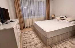 Apartament de închiriat 2 camere Piata Centrala - 200945AI | BLITZ Deva | Poza2