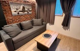 Apartament 1 cameră decomandat, premium, de închiriat – Zona OM, Hunedoara