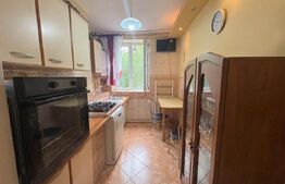 Apartament 2 camere la parter, zona O.M. 