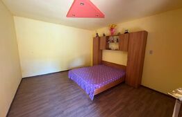  Casă cu teren generos de 2.674 mp–Lângă Geoagiu Băi 