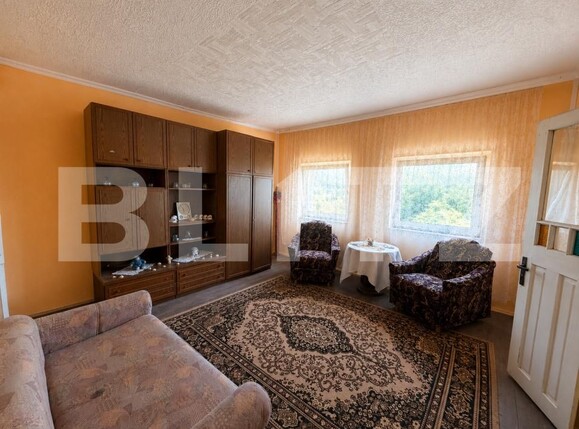 Casa de vânzare 3 camere Cigmau - 200633CV | BLITZ Deva | Poza9