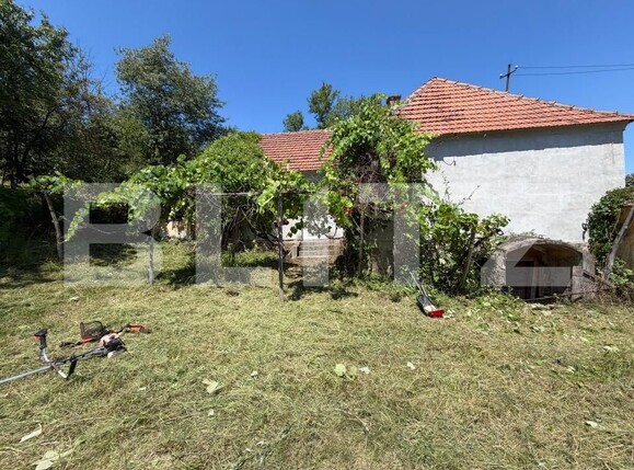 Casa de vânzare 3 camere Cigmau - 200633CV | BLITZ Deva | Poza3