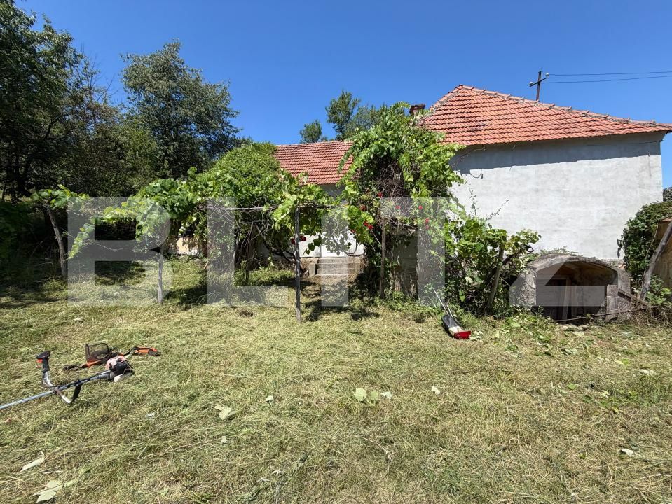 Casa de vânzare 3 camere Cigmau - 200633CV | BLITZ Deva | Poza3