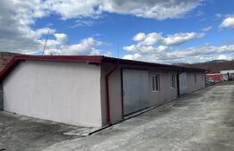 Parc industrial Bârsãu (HALE-BIROURI-APARTAMENT DE LOCUIT-CURTE GENEROASA-TEREN)
