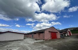 Parc industrial Bârsãu (HALE-BIROURI-APARTAMENT DE LOCUIT-CURTE GENEROASA-TEREN)