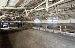 Parc industrial Bârsãu (HALE-BIROURI-APARTAMENT DE LOCUIT-CURTE GENEROASA-TEREN)