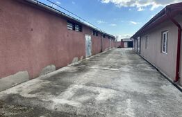 Parc industrial Bârsãu (HALE-BIROURI-APARTAMENT DE LOCUIT-CURTE GENEROASA-TEREN)