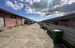 Parc industrial Bârsãu (HALE-BIROURI-APARTAMENT DE LOCUIT-CURTE GENEROASA-TEREN)