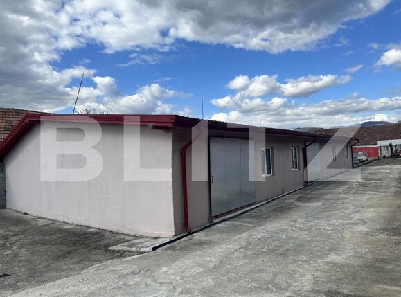 Spațiu industrial de vânzare Exterior Nord - 200677SVI | BLITZ Deva | Poza7