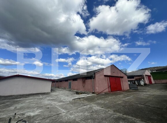 Spațiu industrial de vânzare Exterior Nord - 200677SVI | BLITZ Deva | Poza1