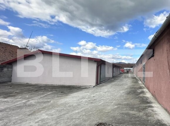 Spațiu industrial de vânzare Exterior Nord - 200677SVI | BLITZ Deva | Poza8